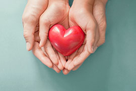 donazione di organi tessuti sangue e midollo osseo