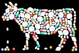 controlli su produzione commercio detenzione e uso del farmaco veterinario antimicrobico resistenza e piano nazionale residui