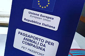 rilascio del passaporto e del certificato europeo per cani gatti e furetti