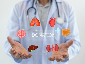 Donazione di organi e tessuti Donazione di organi e tessuti