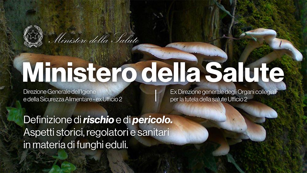 Definizione di rischio e di pericolo - Aspetti storici, regolatori e sanitari in materia di funghi eduli