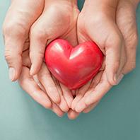 Donazione di organi, tessuti, sangue e midollo osseo